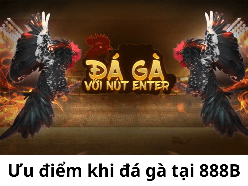 Đá gà 888b 